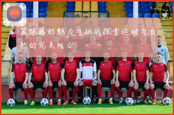 篮球藤的魅力与挑战探索运动与自然的完美结合