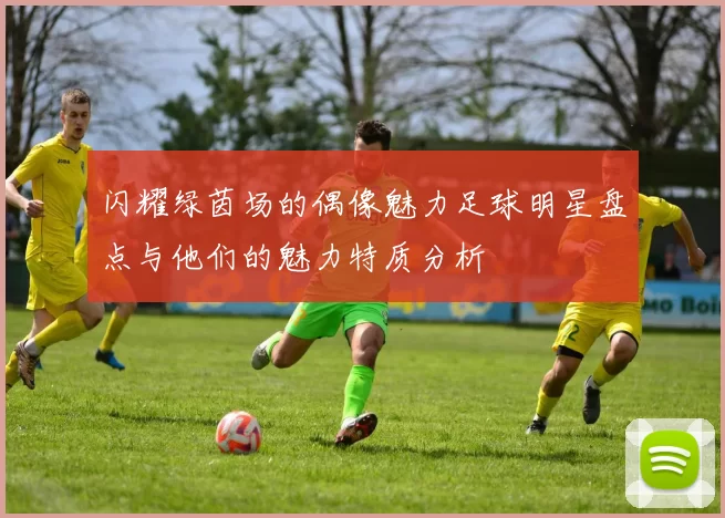 闪耀绿茵场的偶像魅力足球明星盘点与他们的魅力特质分析